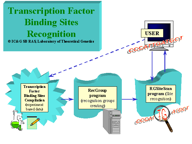 recognition map