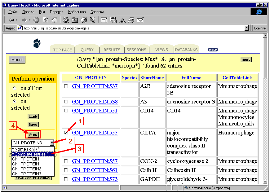 query6.png (17004 bytes)