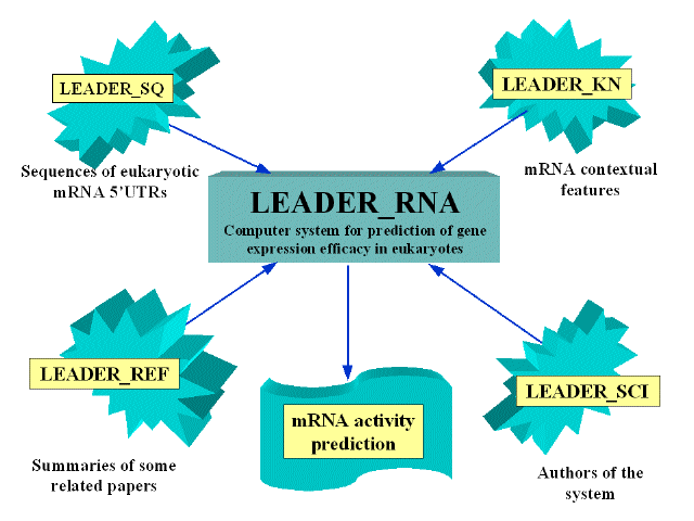 Leader Map