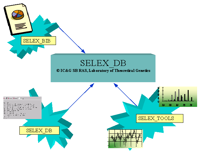 selex map