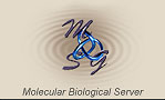 Molecular Biological Server