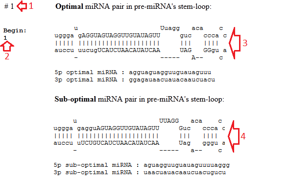 INPUT DATA