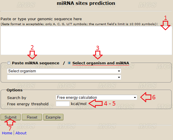 INPUT DATA