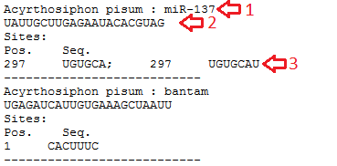 INPUT DATA