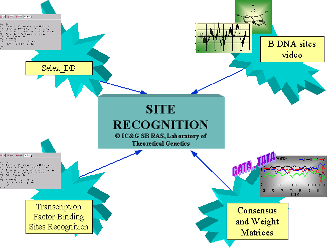 Site Recognition map